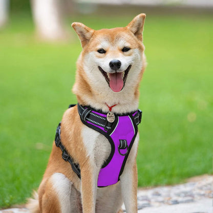 PoyPet No Pull Dog Harness, Reflective Comfortable Vest Harness with Front & Back 2 Leash Attachments and Easy Control Handle Adjustable Soft Padded Pet Vest for Small to Large Dogs (Purple,L)
