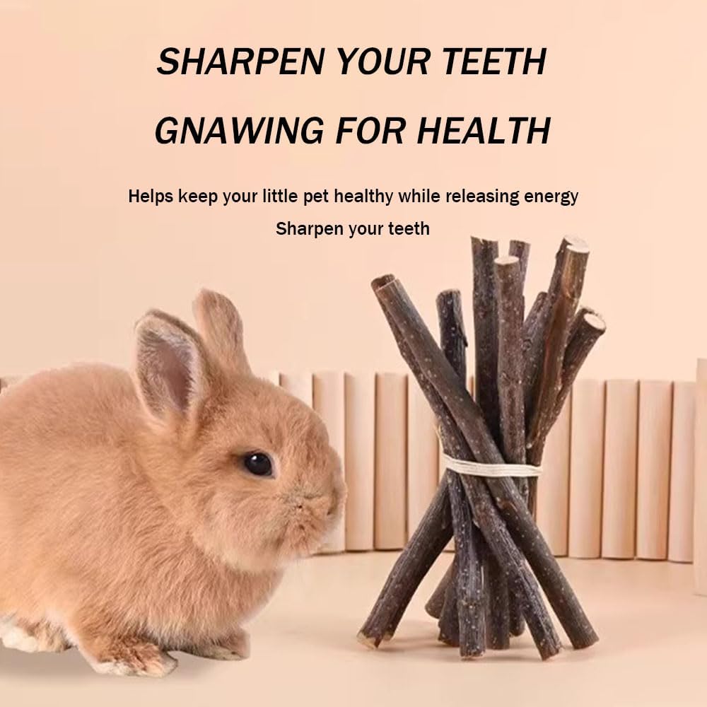 400g 5 Guinea Pig Toys Apple Sticks, Tissimo Grass Sticks, Sweet Bamboo, Papaya Stems, Carrot Sticks Pertain Chinchilla Squirrel Gerbil Hamster Squirrel Guinea Pigs