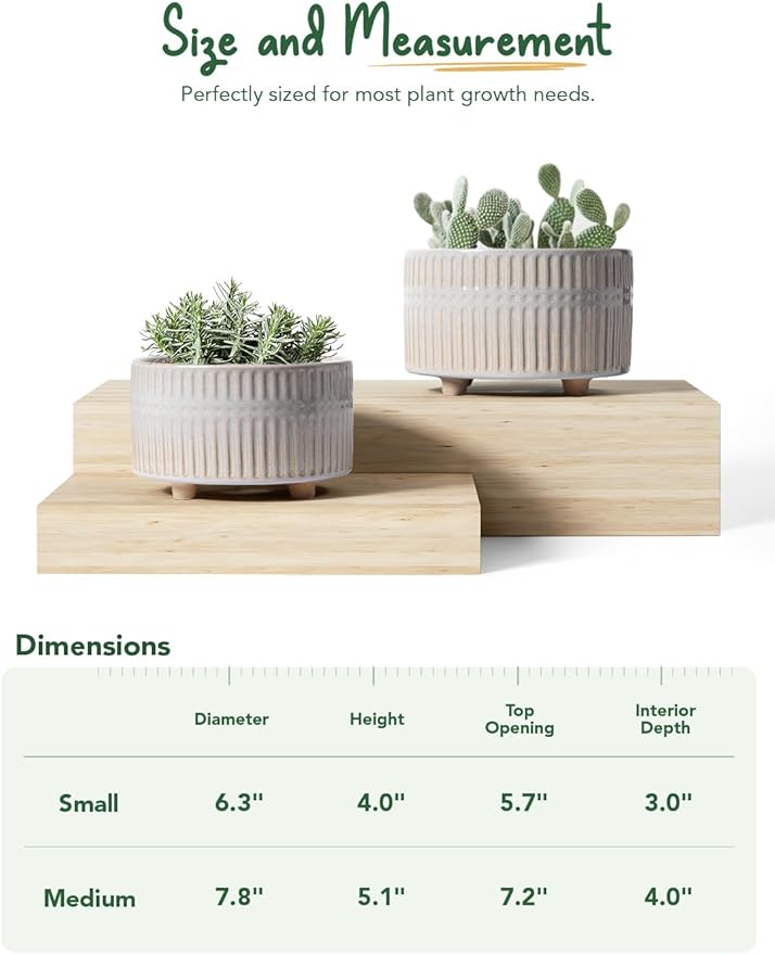 LE TAUCI Succulent Pots, 6.5+8 Inch Ceramic Indoor Plant Pot with Drainage Hole, Shallow Round Succulent Planters, Set of 2, Reactive Glaze Star White