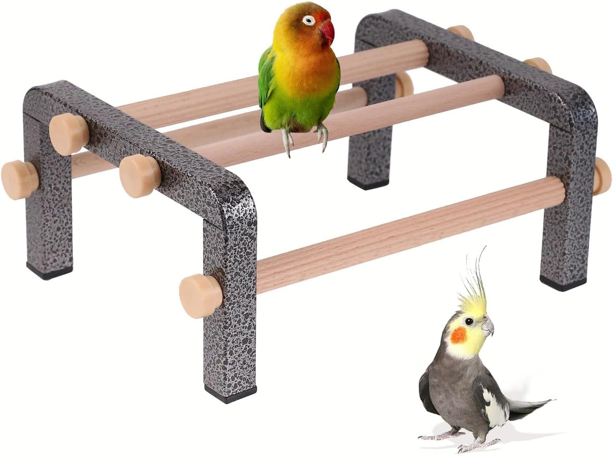 Small Bird Parrot Training Perch Stand for Parakeet Budgies Cockatiel Conure, Durable Heavy Duty Rustproof Metal Frame with 4 Wooden Bars for Bird to Play Climb and Exercise Table Toy