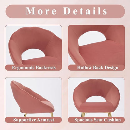 Modern Small Accent Chair Set of 2, Comfy Velvet Vanity Chair with Shell Back & Golden Metal Legs, Decorative Chair no Wheels for Living Room, Makeup Room, Bedroom, Pink