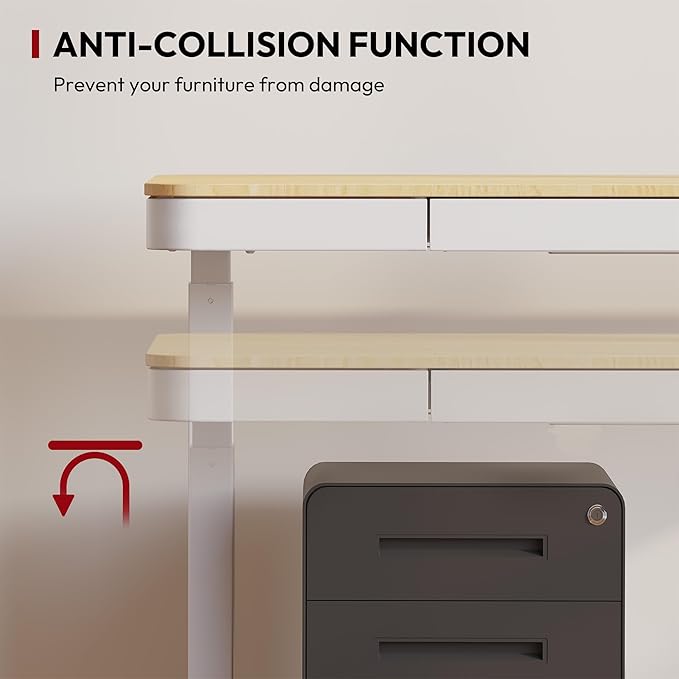 Standing Desk with Drawer, Electric Height Adjustable Home Office Desk with