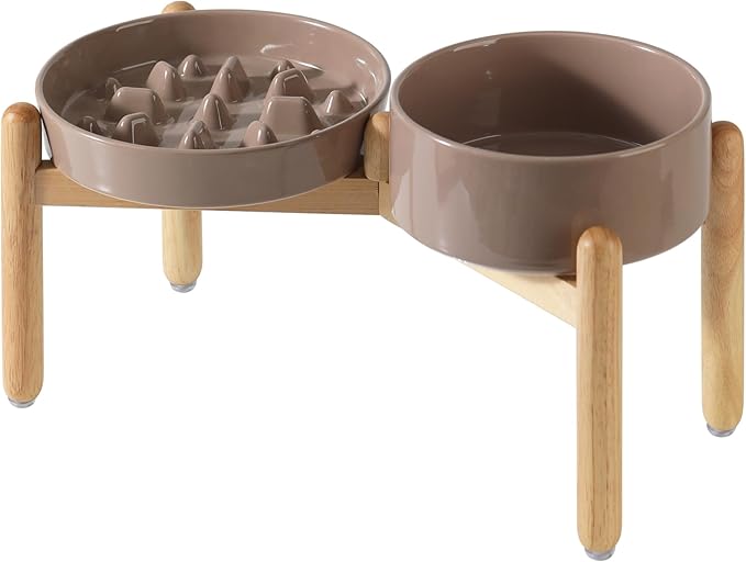 Ceramic 3.2 Cup Raised Slow Feeder Dog Bowl Set, Elevated 8.2inch Bowl and