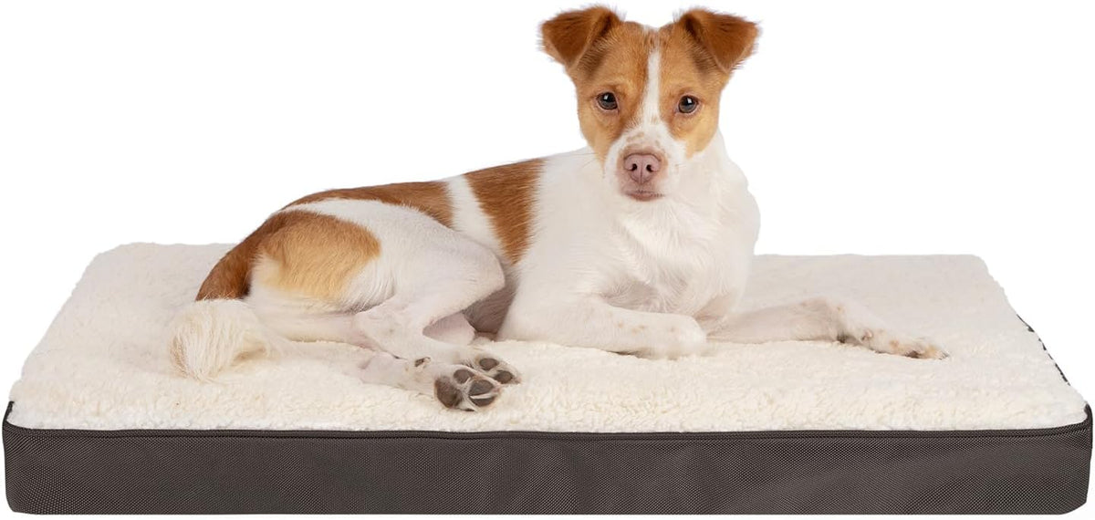 Best Pet Supplies Cute Dog Crate Mat Flat Bed with Waterproof Exterior, Thick Orthopedic Egg Foam Mattress, and Soft Sherpa Fleece Cover for Small, Medium, and Large Breeds - Brown, 41X29X4