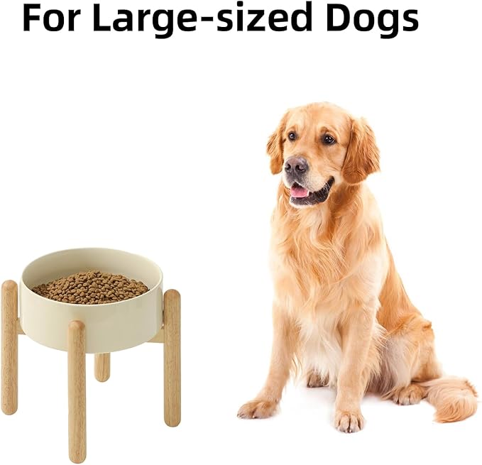 Ceramic 8.2inch Raised Dog Bowl