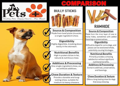 Pets Plus Premium Bart's Bully Sticks for Dogs – 6 Inch, Medium Size, All-Natural, Long-Lasting Chews for Moderate Chewers – High Protein, Low Odor, Grain-Free (10-Pack)