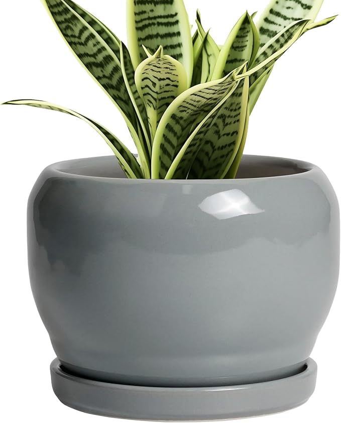 SQOWL 6 Inch Plant Pots - Ceramic Planter with Drainage Hole and Saucer, Round Ceramic Flower Pot Indoor Outdoor, Modern Succulent Planter, Bathroom Decor, Gifts for Plant Lovers, Grey