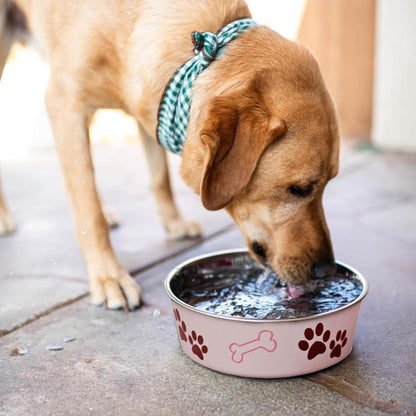 Dog Bowls Stainless Steel Dog Cat Bowls  Spill Proof Dog Food Bowl Cat Bowl Puppy Pet Supplies Great For Home