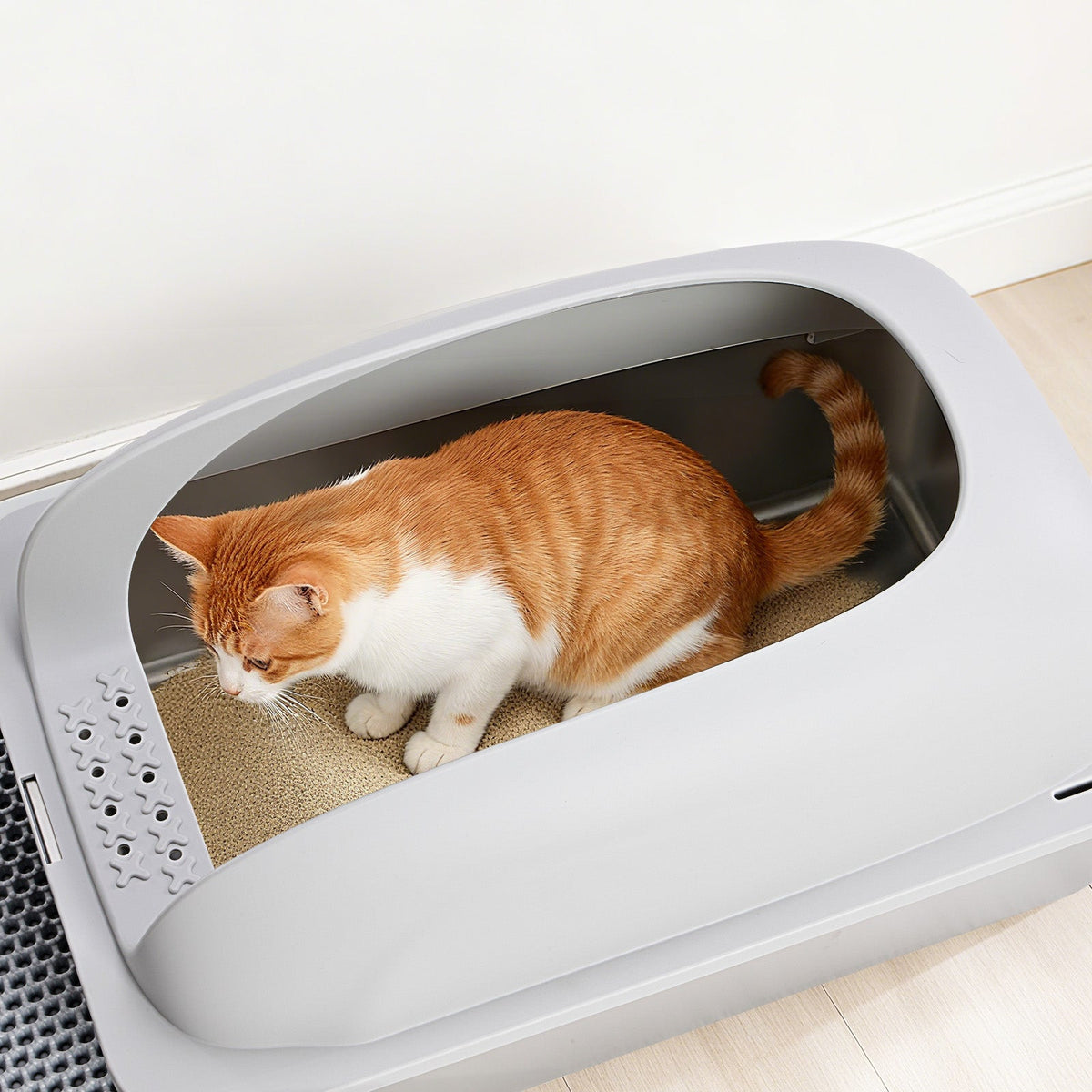 Stainless Steel Cat Litter Box With Lid, Large Cat Litter Box For Big Cats, Scoop And Mat Included
