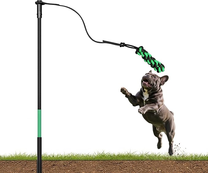 FXW TugPal Outdoor Tug of War Toy for Dog,Interactive Exercise Game with Fiberglass Rod for Yard,39 inch for Small Dogs up to 20 lbs| Rustproof & Hands-Free Play,│Patent Pending