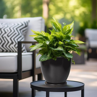 8 Inch Plant Pot - Ceraimc Planter for Indoor Outdoor Plants, Round Flower Pots with Drainage and Tray, House Decor, Black