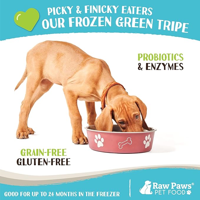 Raw Paws Signature Pet Food for Dogs & Cats - Green Lamb Tripe, 1-lb Rolls (20 Pack) - Fresh Pet Food Made in USA - Natural Dog Food Rolls - Raw Frozen Dog Food – Green Lamb Tripe for Dogs & Cats