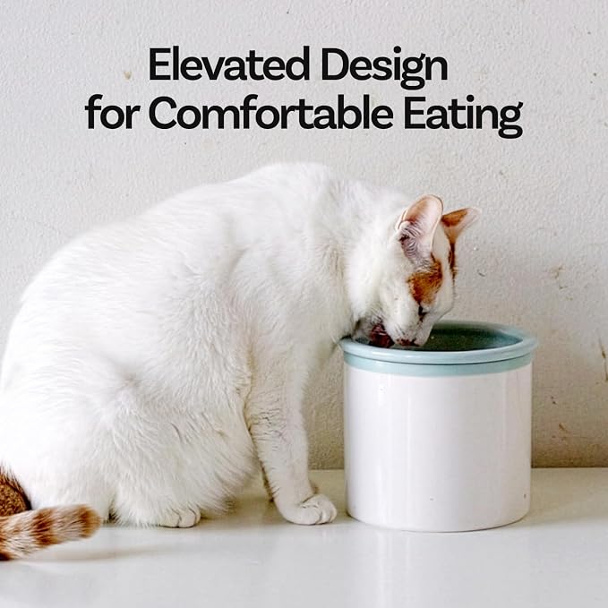 Hello Bowl Elevated Ceramic Cat Bowl with Stand, Raised Whisker-Friendly Feeding Bowl for Cats & Small Dogs, Patented Design, Made in Korea (5.9" H - Gray, Square/Dry)