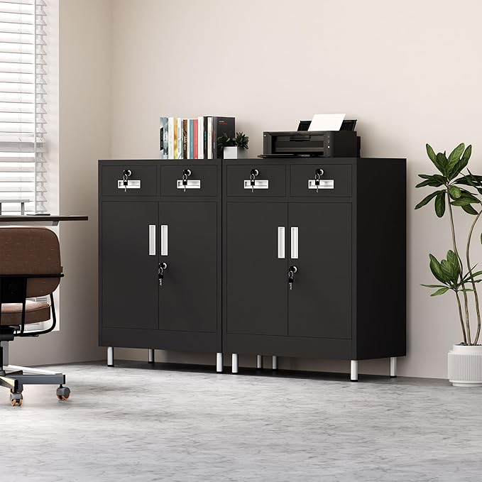 Metal Storage Cabinet with Locking Doors and 2 Drawers, Lockable Storage