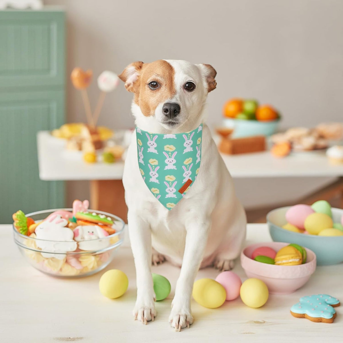 PTDECOR Easter Dog Bandana, Green and Yellow Rabbit Carrot Reversible Holiday Dog Scarf, Multi Size, Triangle Pet Easter Bandanas for Medium Large Dogs Pets (Large)