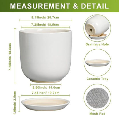 Ceramic Plant Pot - Modern 8 Inch Round Planter for Indoor Outdoor Plants with Drainage Hole and Saucer, Home House Room Office Decor, White
