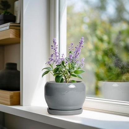 SQOWL 6 Inch Plant Pots - Ceramic Planter with Drainage Hole and Saucer, Round Ceramic Flower Pot Indoor Outdoor, Modern Succulent Planter, Bathroom Decor, Gifts for Plant Lovers, Grey