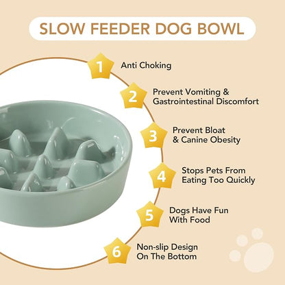 Havniva Dog Bowls Slow Feeder, Ceramic Slow Feeder Dog Bowls for Fast Eater | 1.2 Cups Dog Food Bowl Puzzle Feeder, Slow Feeding Bowls for Small & Medium Breed, Non-Slip Base, Anti-Choking