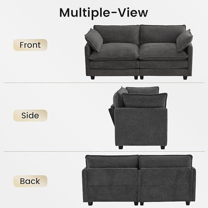 ROWHY Modular Loveseat Sectional Sofa, 78" Upholstered Loveseat, 2 Deep Seat Sofa Couch with 2 Throw Pillows for Small Space, Modern Comfy Cloud Couch for Living Room, Chenille, Charcoal Grey