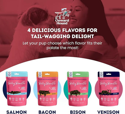 Onward Hound Training Treats for Dogs - Soft Salmon - Low Calorie Dog Training Treats for Sensitive Stomachs with Single Source Premium Protein, Corn Free, & Soy Free Formula - 10 oz