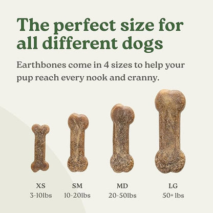 Earthbones (Formerly Terrabones) Dental Chews, Dog Teeth Cleaning Treat, USA Made, Medium, 10 Treats