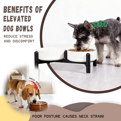 Raised Ceramic Dog Bowl Set with Stand, 2.1 Cups Elevated Dog Food Stand | 6'' Double Dog Food and Water Bowl Set, Non-Slip Dog Feeding Dishes for Small Breeds and Cats, 14 OZ, White