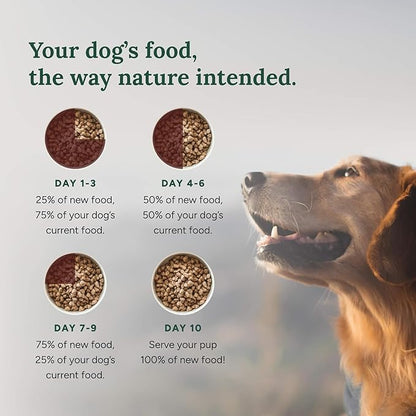 360 Pet Nutrition Freeze-Dried Raw Dog Food – Multi-Protein with Beef, Chicken, Fish, Liver & Organs, High Protein, Omega-3s, Fruits, Veggies & Superfoods, Grain-Free, No Fillers, 3 lb – Made in USA