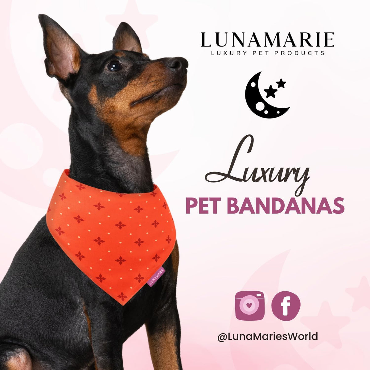 LunaMarie - Luxury Pet Birthday Bandanas -Premium & Silky Poly Fabric | 100% Handmade | Custom Shape Dual Layered (Ember, X-Small)