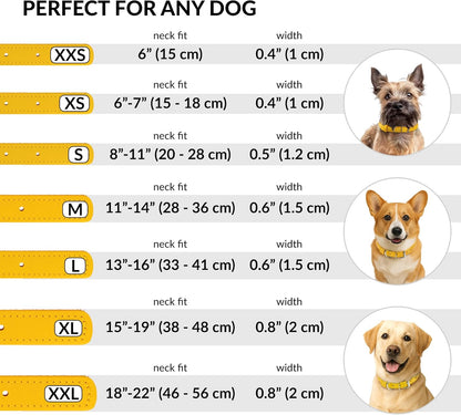 CollarDirect Rolled Leather Dog Collar, Soft Padded Round Puppy Collar, Handmade Genuine Leather Collar Dog Small Large Cat Collars 13 Colors (11-14 Inch, Yellow Smooth)