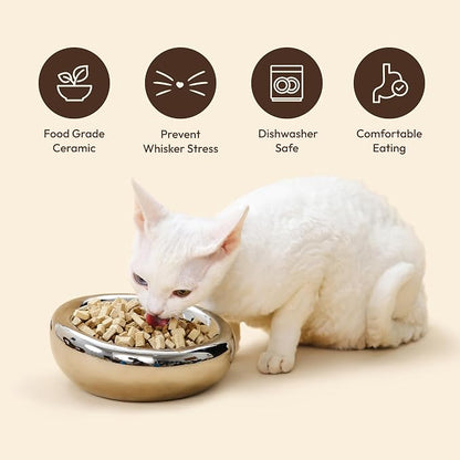 Pebble Pet Bowl Flat Chrome, Ergonomic Dog Cat Feeding Bowl, Flat-Faced Breed, Tilted Ceramic Pet Food Dish, Scooper Eater, Anti-Spill Design, Dishwasher Safe, Modern Pet Bowl, Dry & Wet Diet