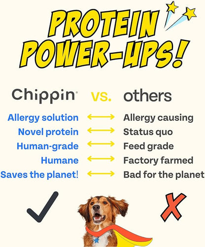 Peanut Butter Dog Treats, Healthy Puppy Treat, Pumpkin, Cricket, Gift for Pet Lovers, Natural Dog Snacks, Hypoallergenic, Gut-Healthy, Medium and Large Dogs, Sustainable Products