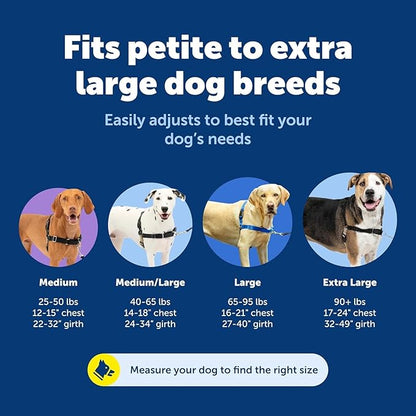 PetSafe Easy Walk Harness, No Pull Dog Harness, Royal Blue, Medium | Patented Martingale Loop Gives Gradual Shoulder Pressure to Stop Pulling, Front-Chest Leash Clip Prevents Gagging