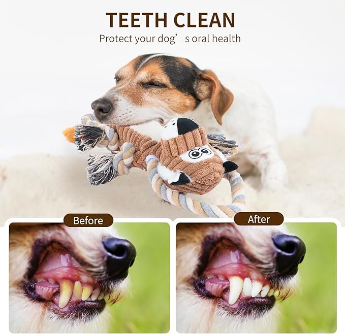 Squeaky Dog Toys Interactive Durable Rope-Infused Lion Shape Puppy Chew Toys for Small, Medium and Big Dogs