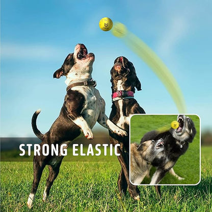 FOFOS Dog Balls Chew Toys Tennis Ball for Aggressive Chewers Teething Molar Toys Water Toy Interactive Fetch Balls Gift Set for Large Medium Dog and Puppies (4 Pack, 2.75 inch)
