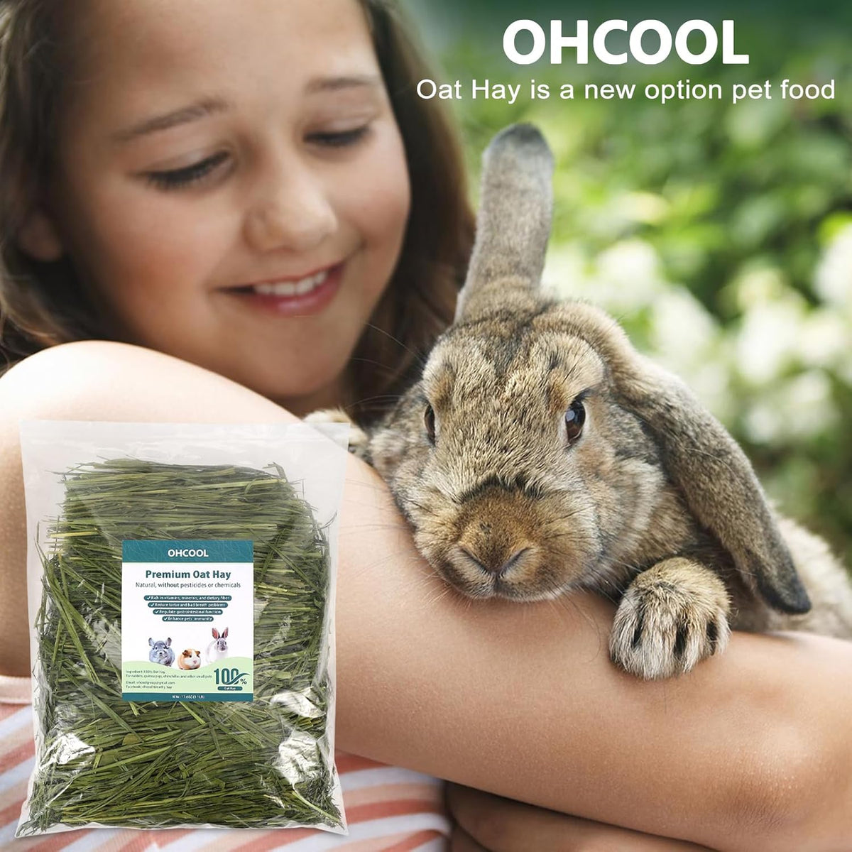 Premium Oat Hay for Pets - Dust Free Natural Green Fresh Pet Food Hay for Rabbits, Guinea Pigs, Chinchillas, Hamsters & Gerbils - 2.2lbs