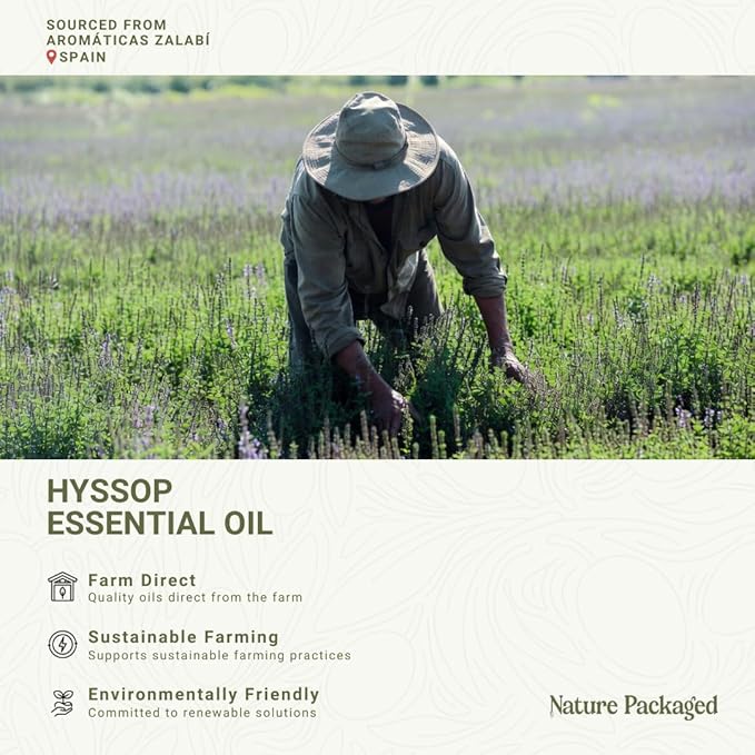 Hyssop Essential Oil
