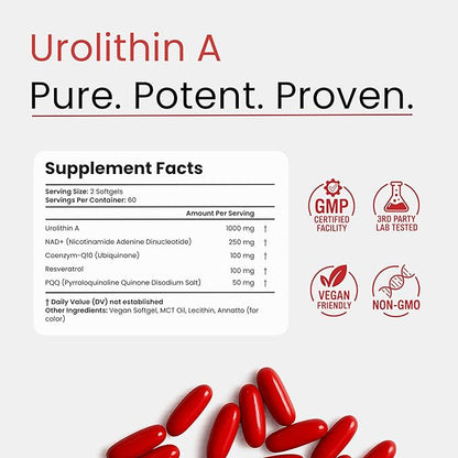 Urolithin A Supplement with NAD, Resveratrol, PQQ – 5-in-1 Longevity Complex to