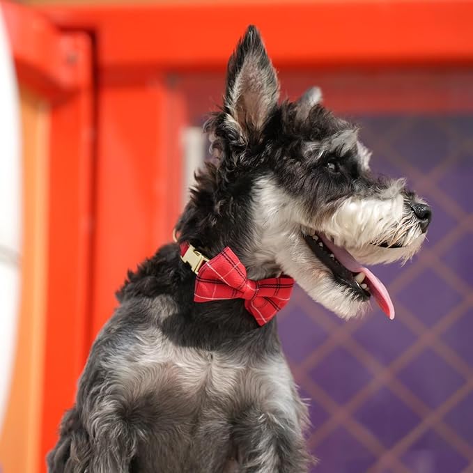 Beirui Cute Extra Small Dog Harness Collar and Leash Set with Bowtie, Soft Adjustable Plaid Puppy Harness for Small Sized Dogs Cats Walks Parties and Photoshoots(Red,XS:Chest 13-18")