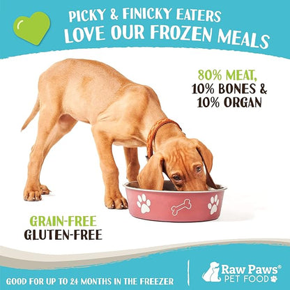 Raw Paws Signature Blend Pet Food for Dogs & Cats - Turkey Recipe, 1-lb Rolls (20 Pack) - Made in USA Frozen Turkey Roll Dog Food - Log Dog Food - Refrigerated Raw Frozen Food for Dogs