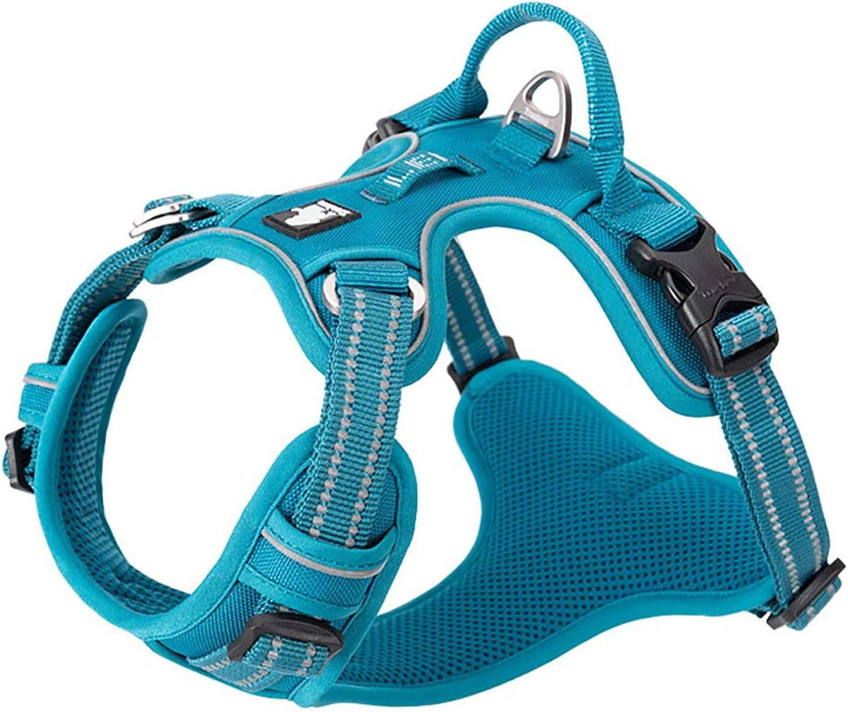 TRUE LOVE Dog Harness No Pull Nylon Reflective Pet Harness Adjustable Comfortable Control Step-in Brilliant Colors Truelove TLH56512 Blue