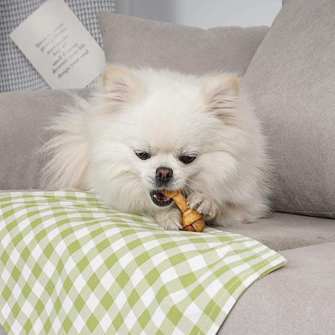 MON2SUN Dog Rawhide Knot Bones Small Rawhide Bones Mini Chews Chicken Flavour 2.5 Inch 60 Count for Puppy and Small Dogs
