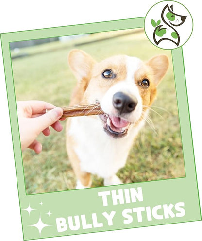 Nature Gnaws Thin Bully Sticks for Dogs 5-6" (1Lb) - Mixed Thickness - Long Lasting for Small Dogs and Puppies - Natural Thin Beef Dog Chew Bones - Rawhide Free