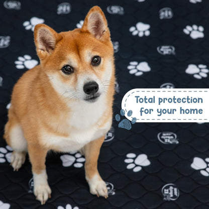 EZwhelp Reusable Dog Pee Pads. Everyday comfort that fits naturally into your space.