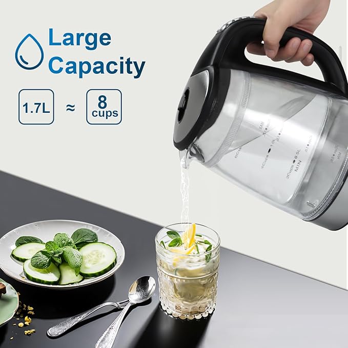 1500W Electric Kettle with Temperature Control