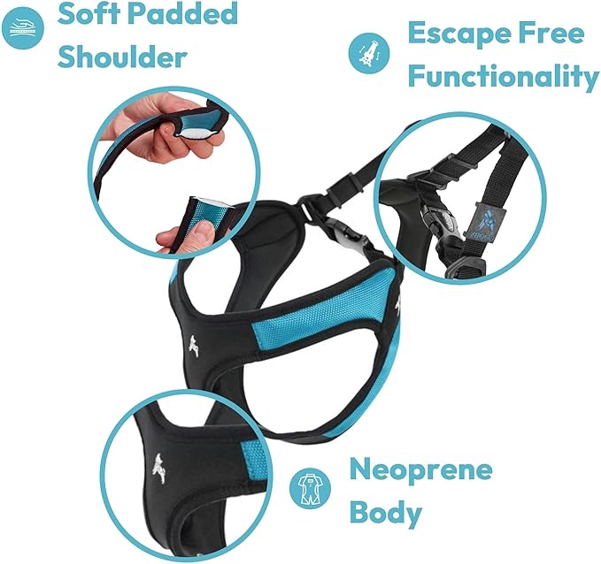 Gooby Escape Free Easy Fit Harness - Blue, X-Small - No Pull Step-in Patented Small Dog Harness with Quick Release Buckle - Perfect On The Go No Pull Harness for Small Dogs or Medium Dog Harness