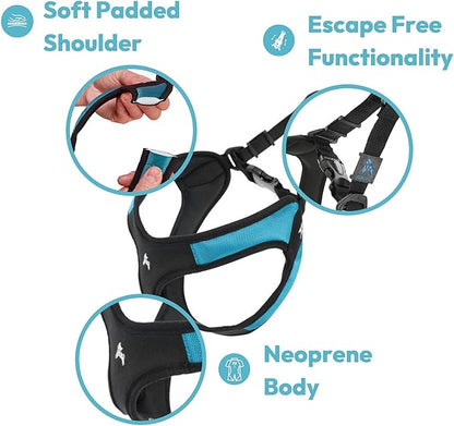 Gooby Escape Free Easy Fit Harness - Blue, X-Small - No Pull Step-in Patented Small Dog Harness with Quick Release Buckle - Perfect On The Go No Pull Harness for Small Dogs or Medium Dog Harness