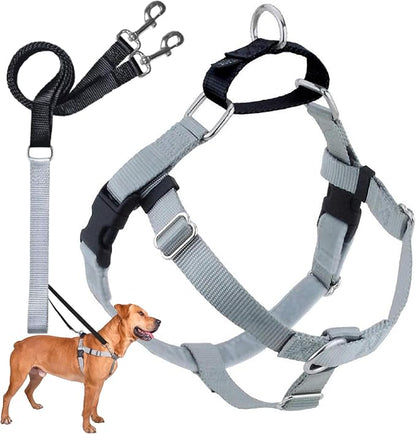 2 Hounds Design Freedom No Pull Dog Harness, Adjustable Harness and Leash Set, Easy Walking & Comfortable Control, Fits Small, Medium & Large Dogs, Solid Colors, Made in USA, 1" MD, Silver