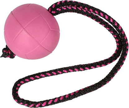 Dingo BIBI Ball for Dog Training, Floating, Retrieving Toy for Dog, Soft Rubber and Rope Handle, Pink Color 17251