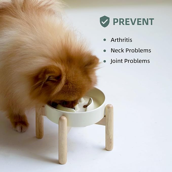 Ceramic 0.9 Cup Raised Dog Slow Feeder Set, Elevated Bowl
