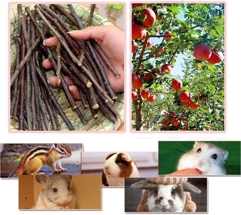 500g Apple Sticks Small Animals Molar Wood Toys for Rabbits Chinchillas Guinea Pig Hamster Gerbil Bunny and Small Animal Chew Stick Toys
